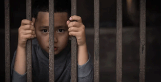 Needs of Children in confrontation with the Law